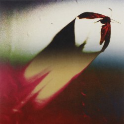 Are We All Angels (LP)