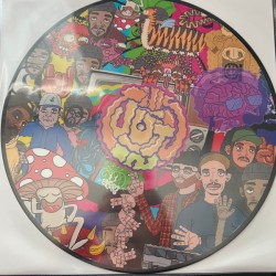 This Just In ! (Picture disc)