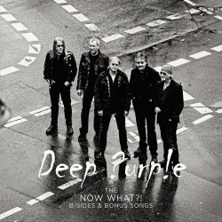 The Now What ?! B-Sides (LP) violet