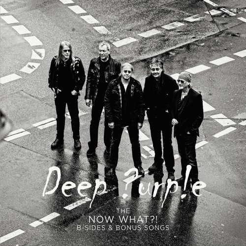 The Now What ?! B-Sides (LP) violet
