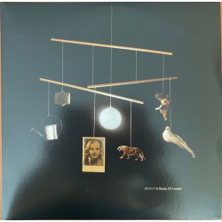 A Study Of Losses (2LP) blue