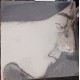 Broken Girl (LP) white