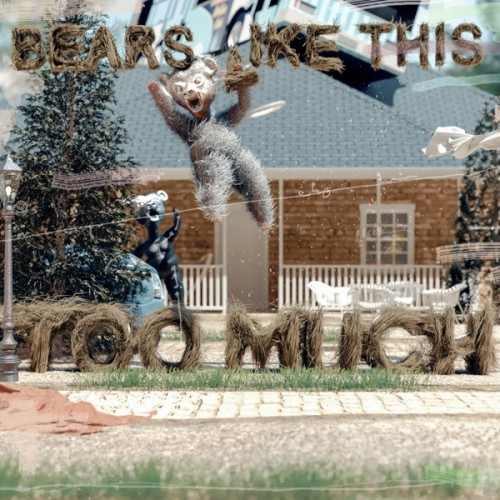 Bears Like This Too Much (LP) couleur