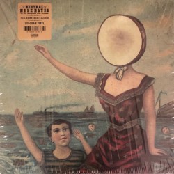 In The Aeroplane Over The Sea (LP)