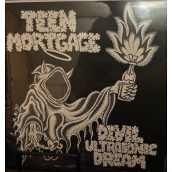 Devil Ultrasonic Dream (LP)