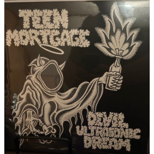 Devil Ultrasonic Dream (LP)