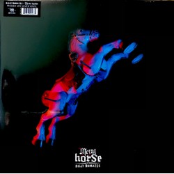 Metal Horse (LP) argent