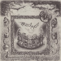 Down The Well (LP)