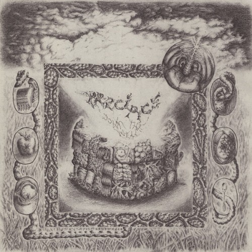 Down The Well (LP)