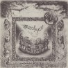 Down The Well (LP)
