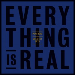 Greatest Hits : Everything Is Real (2LP)