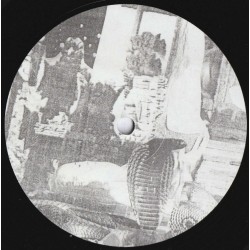 Snakinist Sand Form (LP)
