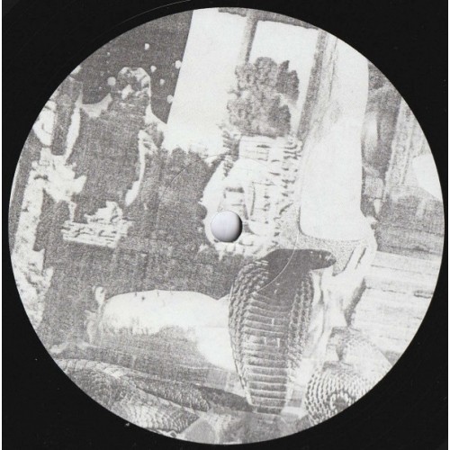 Snakinist Sand Form (LP)