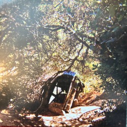 Possession (LP)