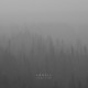 Lake Fire (2LP)