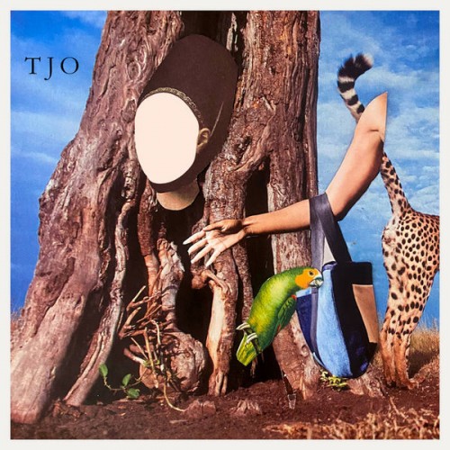 The Cool Cloud Of Okayness (LP)