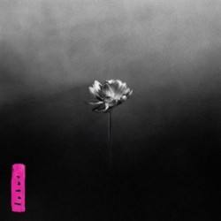 Lotus (2LP) coloured