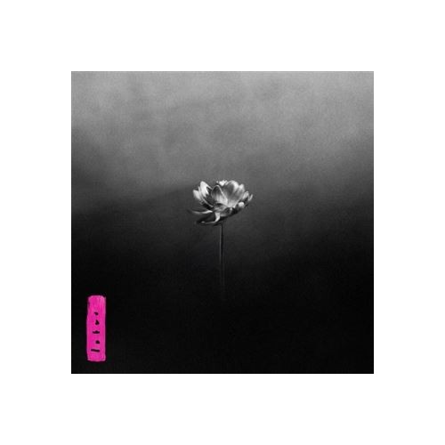 Lotus (2LP) coloured