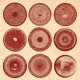 Spilla (LP)