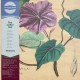 Yowzers (LP) Ipomoea Jalapa