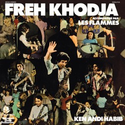 Ken Andi Habib (LP)