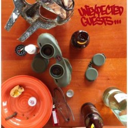 Unexpected Guests (2LP)