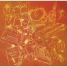Trad Vibe : 20 ans (LP)