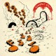 Gumboot Soup (LP) orange