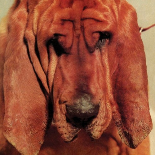 Goodbye Bread (LP)