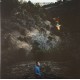 Singing Saw (LP) vert