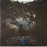 Singing Saw (LP) vert