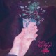 Who Cares (LP)