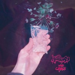 Who Cares (LP)