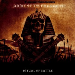 Ritual Of Battle (2LP) orange