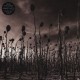 Anastasis (2LP)