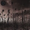 Anastasis (2LP)