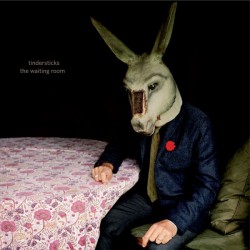 The Waiting Room (LP+DVD) couleur
