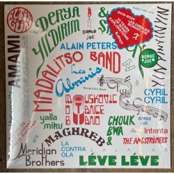 2015-2025 Les Disques Bongo Joe (2LP) splatter