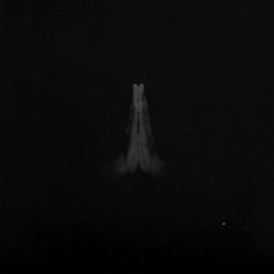 Rise (2LP)
