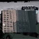 100% Black Puzzle (LP)