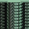 What Day Is It Tonight ? (2LP+DVD)
