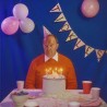 Sugar & Plastic Plates (LP)