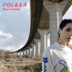 Polaar (2LP)