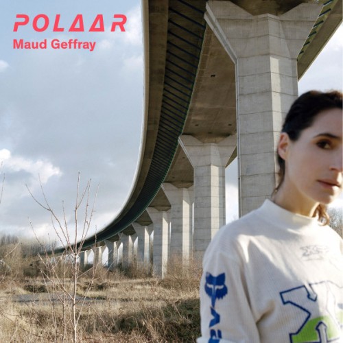 Polaar (2LP)