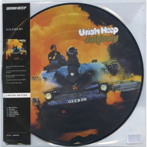 Salisbury (picture disc)