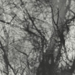 Way Their Crept (LP)