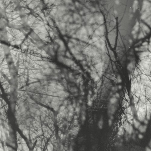 Way Their Crept (LP)