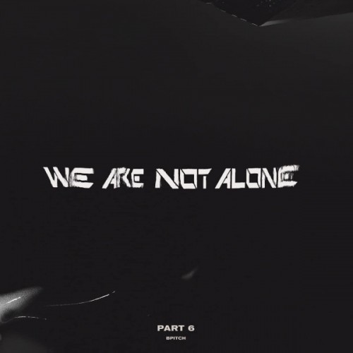 We Are Not Alone Pt.6 (2LP)