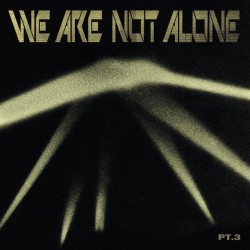 We Are Not Alone Pt.3 (2LP)
