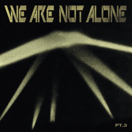 We Are Not Alone Pt.3 (2LP)